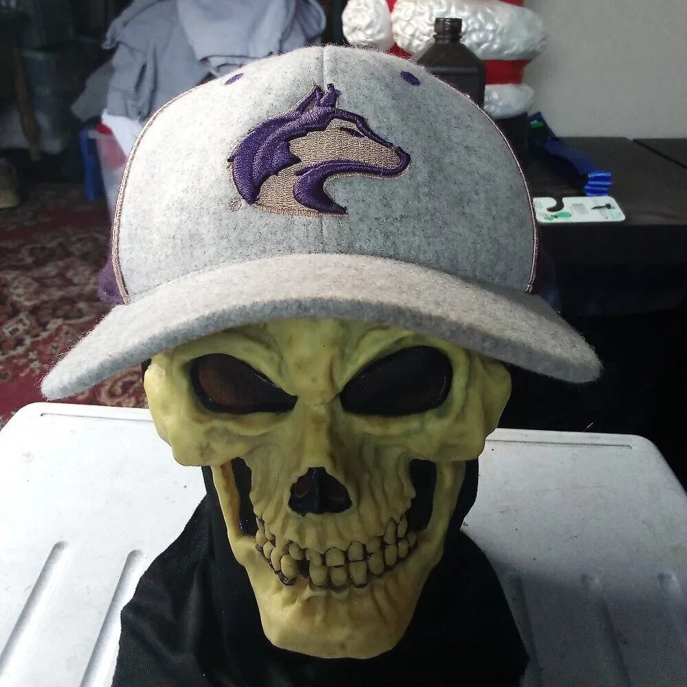 Vintage Colosseum Washington Huskies Wool Fitted Hat Cap 7 1/2